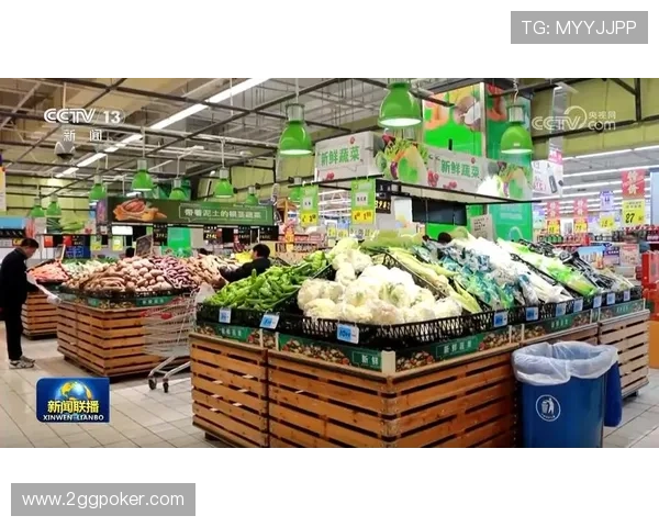 白菜大大：探索新鲜蔬菜的美味与营养