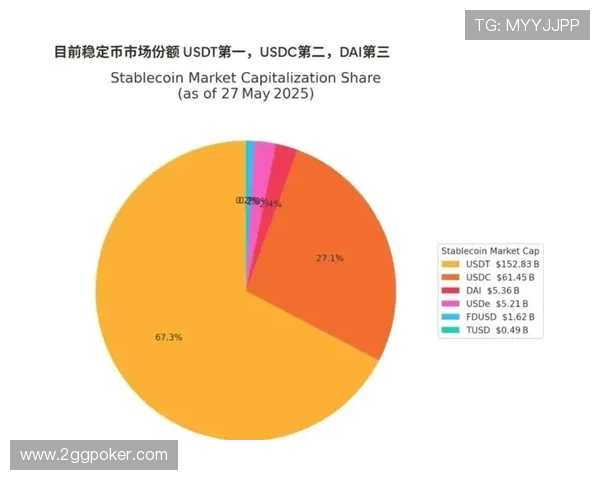 深入解析USDT币圈:投资机会与风险分析 深入解析USDT币圈:投资机会与风险分析